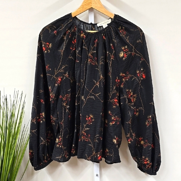 Treasure & Bond Tops - Treasure & Bond Black Blouse with Bishop Sleeves and Relaxed Fit Medium